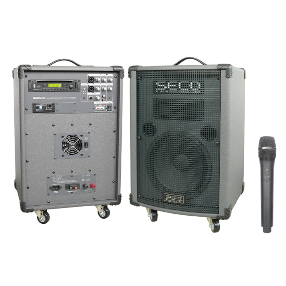 무선 앰프 스피커 시스템 DW-600CD 150watt AC/DC겸용